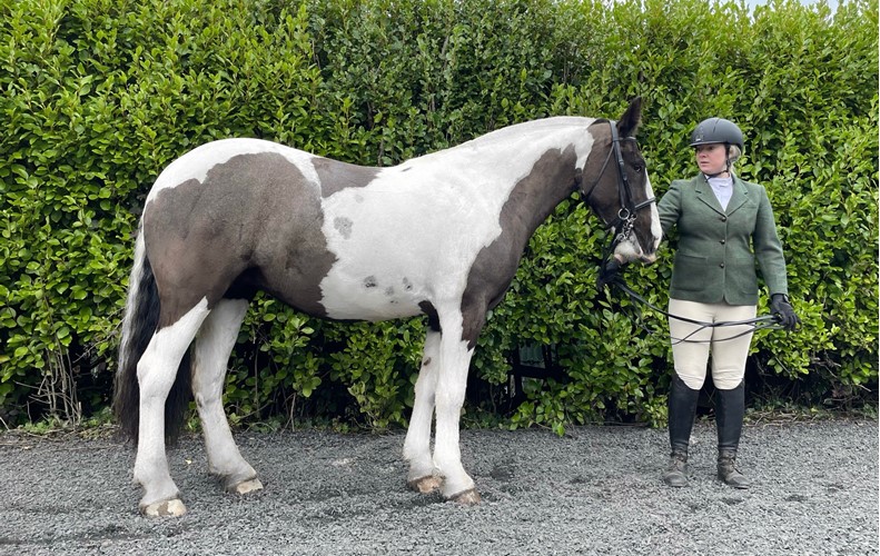 Caitlin Steel with Thornbrook Coloured Maddy 